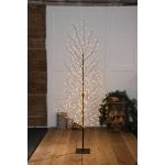 Noma 2m Antique White Wispy Black Tree