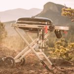 Weber Traveler