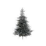 Everlands Grandis Snowy Fir Tree 6ft
