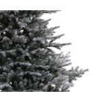 Everlands Grandis Snowy Fir Tree 7ft
