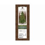 Everlands Galloway Spruce Pre-Lit 6ft Christmas Tree