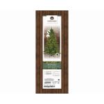 Everlands Galloway Spruce Pre-Lit 7ft Christmas Tree