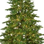 Everlands Galloway Spruce Pre-Lit 7ft Christmas Tree