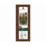 Everlands Norway Spruce Pre-Lit 7ft Christmas Tree