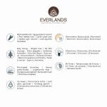 Everlands Norway Spruce Pre-Lit 7ft Christmas Tree