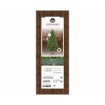 Everlands Kenmore Fir Pre-Lit 7ft Christmas Tree
