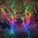 Twinkly 100 RGB String Lights GEN II
