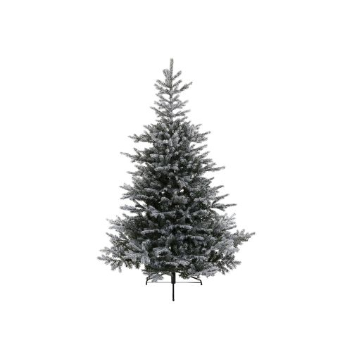 Everlands Grandis Snowy Fir Tree 7ft