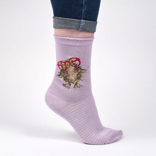 Wrendale 'Spectacular' Socks